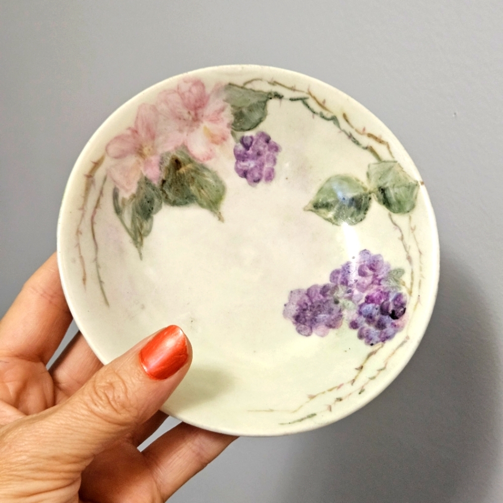 Vintage Handpainted Dessert Dishes with Berries and Blooms Germany Set Of 4
